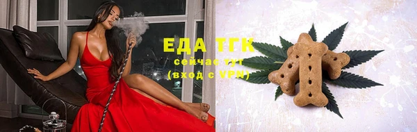 стаф Арсеньев