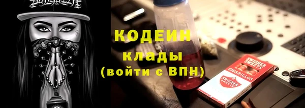 стаф Арсеньев