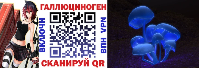 закладки  Наволоки  Галлюциногенные грибы мухоморы 
