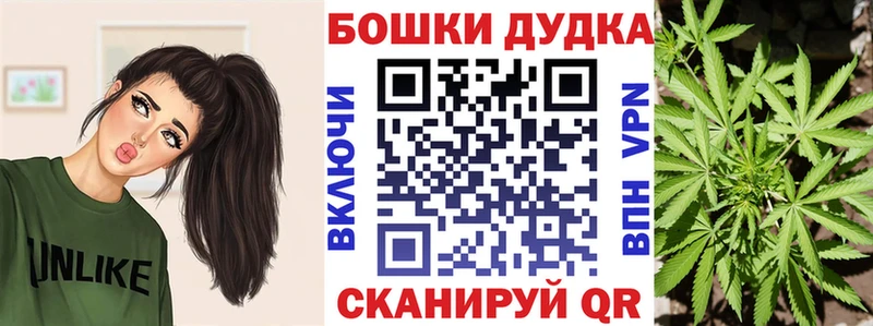 цены наркотик  Наволоки  Шишки марихуана конопля 